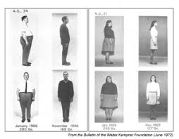 Obesity Imagesopti3 Rice Diet Cholesterol The Cure