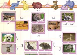قسم أسماء صغار الحيوانات comics art kids