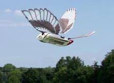 World's most advanced bat robot. Ornithopter Wikipedia