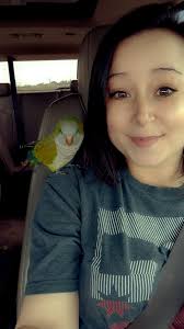 Lost parrot Pirate found in Stanwell after community help