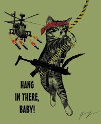 Hang in there cat poster. Hang In There Baby Art Online Wall Art Poster Wall Art