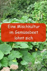 Mischkultur Im Gemusegarten Gartenbob De Der Garten Ratgeber Mischkultur Garten Und Garten Pflanzen