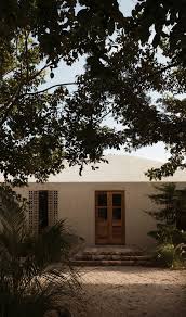 Image result for Galopina