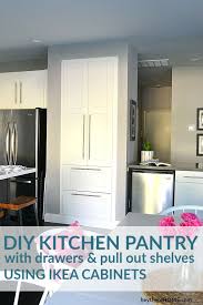 Diy Pantry Remodel Old Pantry Closet Turned Built In Pantry Cabinet In 2020 Pantry Remodel Built In Pantry Ikea Kitchen Pantry