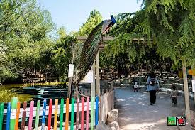 Jolie Decouverte Avis De Voyageurs Sur Petit Paradis De Vendargues Montpellier Tripadvisor
