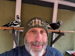 does anyone have a pattern for pigeon pants? I have all the supplies, I  just can't find a pattern that comes with any guide so I know I'm putting  it together correctly