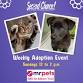 Mr Pets Weekly SCARS Adoption Event - MrPets, 580 St Albert Trl Event Image