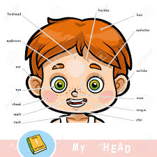 Some will appear on the face, neck, shoulder, on the penile shaft (in male) and on the vaginal lips. Cartoon Visual Dictionary For Children About The Human Body Royalty Free Cliparts Vectors And Stock Illustration Image 94695860