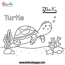صور تلوين الكائنات البحرية وحدة الماء رسومات اسماك للتلوين بالعربي نتعلم
