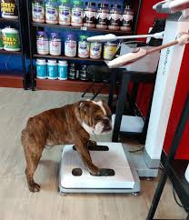 Love 1st phorm products and so glad west coast supplements carry the brand. Get A Free Body Composition Analysis And Help Veterans At West Coast Supplements In Lacey Thurstontalk