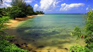Pc Hd Wallpapers Nature Group 86 Because the site detects your display resolution, you can simply click on a wallpaper to open it in the matching size.