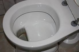 I fished it out and put in a water bottle to try and. Is It True That German Toilets Feature An Examination Plate Where Feces Drops Quora