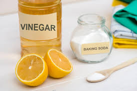 We did not find results for: Diy Ant Spray How To Make Your Own