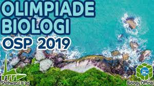 Soal dan kunci jawaban ksm matematika terintegrasi tingkat kabupaten tahun 2019 untuk ma. Pembahasan Osp Biologi 2019 Nomor 1 Pesantren Shohwatul Is Ad Youtube