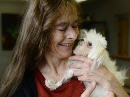 1-pound miracle dog fights for life