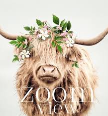 We did not find results for: Highland Cow With Flower Crown From The Crown Prints Etsy In 2021 Highland Cow Painting Highland Cow Print Highland Cow Art