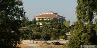Check spelling or type a new query. Finca El Pendolero Fincapendolero Twitter