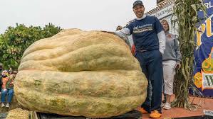 Image result for giant pumpkin