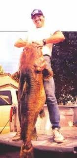 flathead catfish 123 lbs kansas state and world record