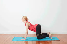 How To Do Cat Cow Stretch Chakravakasana In Yoga Ad 1 Photo Ben Goldstein Model Emily O Connell Targ Easy Yoga Poses Cow Pose Pilates Workout