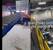 Narrow Belt Automatic Sorting System Linear Narrow Belt Sorter Conveyor for  Express Mail Box Carton Package Letter