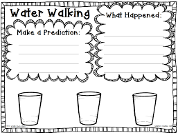 Water Walk Experiment Freebie And Bumblebees Close Read First Grade Blue Skies First Grade Science Science Fair Projects Second Grade Science