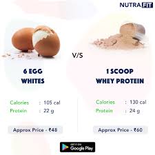 Nutra Fit On Twitter Egg Whites Or Whey Protein Download Https T Co 2ymgxqqtru App Link In Bio Whey Fitness Wheyprotein Protein Gym Bodybuilding Nutrafit Motivation Supplement Bodybuilder Protein Isolate Nutrafittrainer