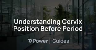 Image result for cervix position