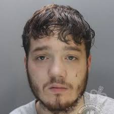 Drunk robber strangled BT engineer for van key and then drove off the wrong  way down road