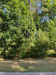 How big is belmont lake in north carolina? Luxury Homes 170 Aberdeen Rocky Mount Nc 27804 Team Gale