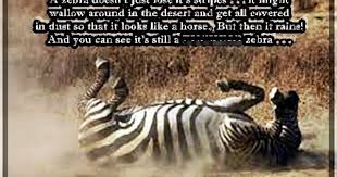 A Zebra Doesn T Just Lose Its Stripes Favorite Quotes Zebra Quotes