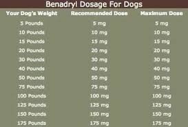 Benadryl Dosage For Dogs Insect And Flea Bites Irritation