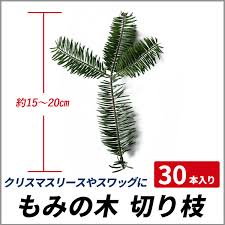 もみの木 切り枝 約15 20cm 30本入り クリスマスリース スワッグの通販はau Pay マーケット 相馬グリーン