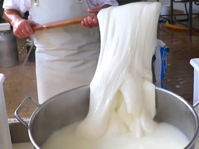 The History of Mozzarella - The Italian Tribune