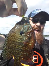 What plastics and presentations work for panfish?