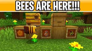 This handy guide will help you identify types of bees and wasps and whether or not they sting. Download Minecraft Bedrock 1 14 30 1 14