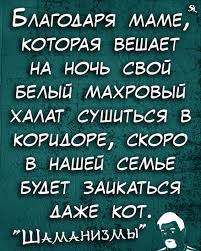 shamanizmy shutki prikol yumor jokes funny humor memes quotations phrase of the day quotes