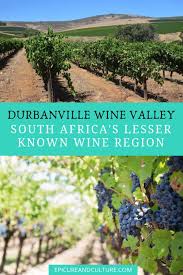 Durbanville Wine Valley South Africa Wine Region Guide Wine Valley Africa Travel South Africa Travel