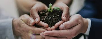 A securities lending agreement requires the borrower to put up collateral, such as cash, security, or a letter of credit. Demystifying Esg In Securities Lending Deutsche Bank