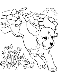 Hours of fun await you by coloring a free drawing animals puppy. Free Puppy Coloring Pages Download And Print Puppy Coloring Pages