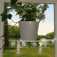 If it's unopened after 10 years, it's probably still usable. Ledge Suction Cup Window Shelf Acrylic Plant Window Shelf Indoor Window Pla H6j3 18 69 Picclick Uk