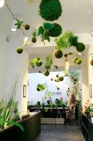 La Nouvelle Boutique Florale Ikebanart Met De La Poesie Dans Votre Salon Plantes Suspendues Jardins Jardin Interieur