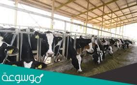 من اسباب قلة الثروه الحيوانية في وطني السعودية موسوعة نت