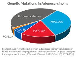 lung cancer tumor testing american lung association