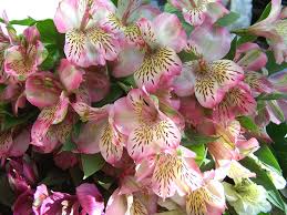 We did not find results for: How To Choose Flowers That Last For Your Valentine Birmingham Mi Patch