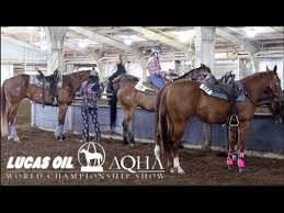 Qualifying For The 2019 Aqha World Show