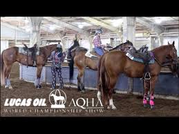 qualifying for the 2019 aqha world show