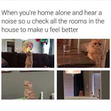 Nextla Mia Ac Talent Pydmm On Instagram Forever Alone Funny Pictures Memes Bones Funny