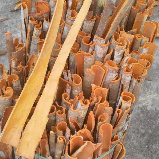 SPLIT CASSIA - NAM VAN LONG Co., Ltd
