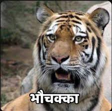 Were doomed guys: Videos of women bathing at Maha kumbh mela  goes for  sale for ₹3000, UP knocks Meta for help. : rTeenIndia